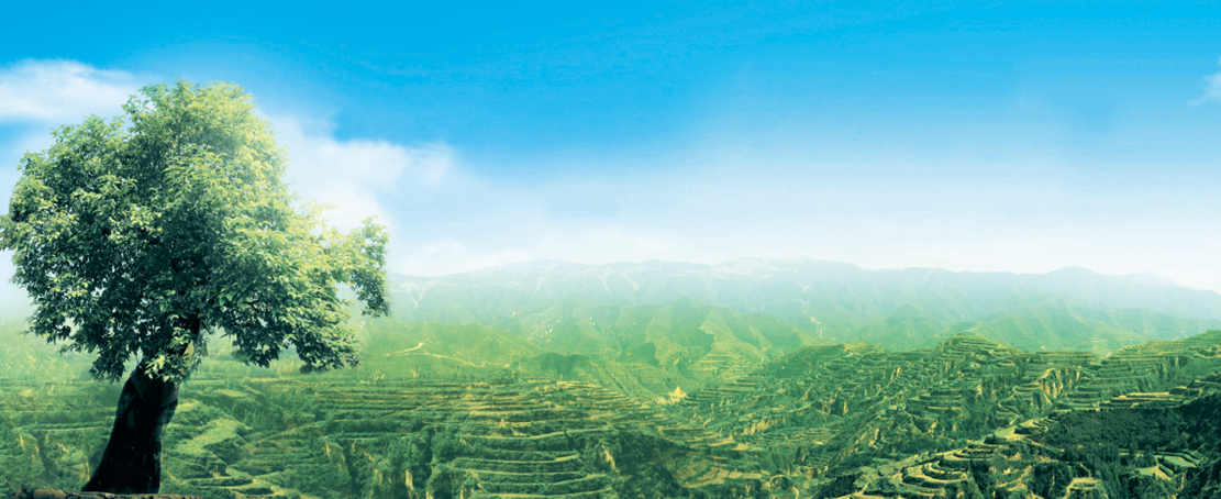 QQ圖片20170410144537.png QQ圖片20170410144537.png